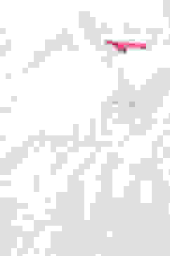 White Chiffon Dobby Tiered Dress image number 1