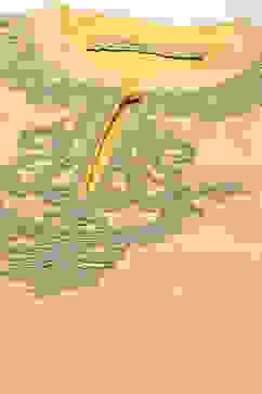 Rohit Bal Yellow Cotton Silk Straight Embroidered Suit Set image number 1