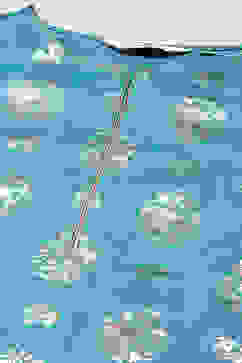 Teal Straight Viscose Kurta image number 1