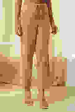 Gold-Toned Solid Regular Pants image number 4