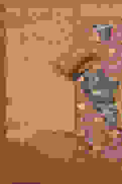 Coral Chanderi Printed Unstitched Suit Set image number 3