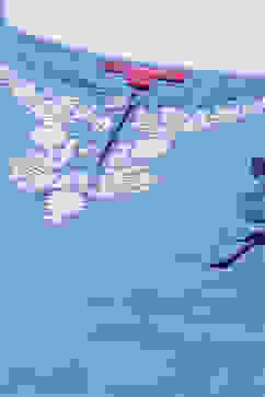 Purple Cotton Straight Printed Kurta Skirt Suit Set image number 1