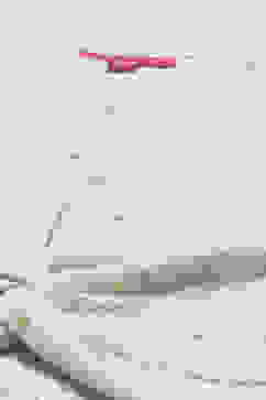 Ivory Cotton Printed T-Shirt image number 1