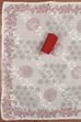 Red Cotton Printed Embroidered Unstitched Suit Set image number 3