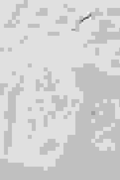 Off White Cotton Layered Printed Kurta Churidar Suit Set image number 1