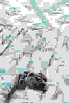 White Printed Cotton Flared Kurta With Straight Palazzo image number 1