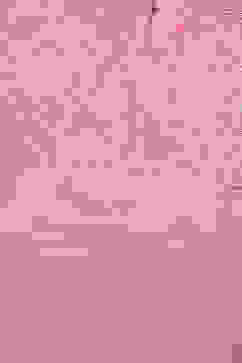 Fuchsia Straight Nylon Viscose Kurta image number 1