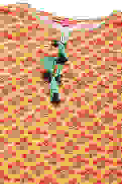 Peach Cotton Straight Printed Kurta Salwar Suit Set image number 2