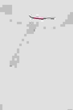 Beige LIVA Straight Kurta image number 5