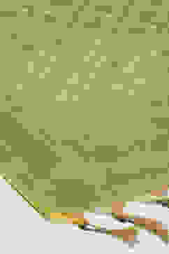 Mustard Poly Viscose Anarkali Kurta Churidar Suit Set image number 3