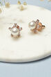 Rose Gold Earrings image number 0