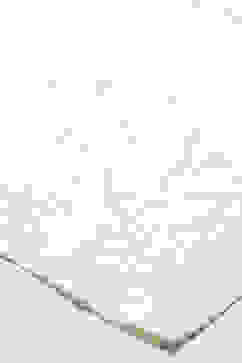 Off-white Threadwork Dupatta image number 1