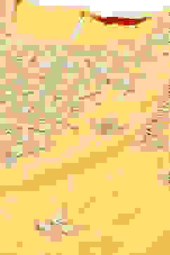 Mango Cotton Blend Straight Kurta Palazzo Suit Set image number 1