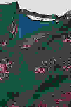 Green Polyester A-Line Printed Kurta Palazzo Suit Set image number 1