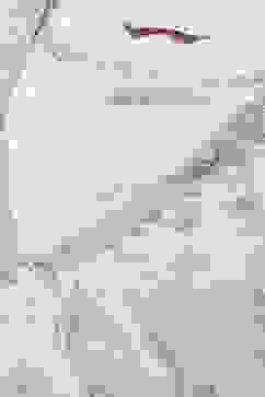 White Polyester A-Line Printed Dress image number 1