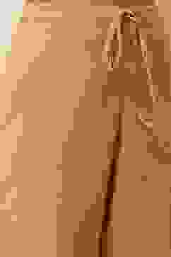 Gold-Toned Solid Regular Pants image number 1