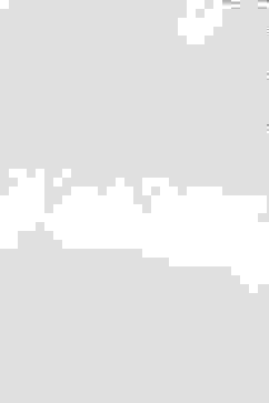 White Solid Nylon Viscose Classic Straight Kurta image number 1