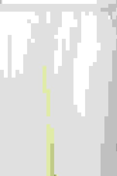 Off-White Chanderi Embroidered Straight Suit Set image number 2