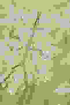 Olive Polyester Straight Printed 2 Piece Set image number 1