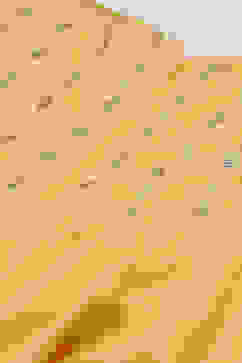 Yellow Cotton Anarkali Kurta Churidar Suit Set image number 1