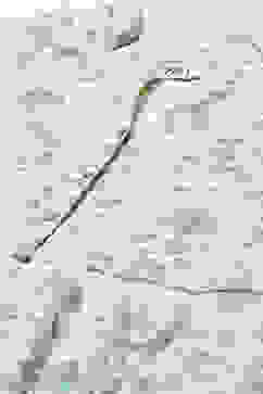 Off White Polyester A-Line Suit Set image number 1