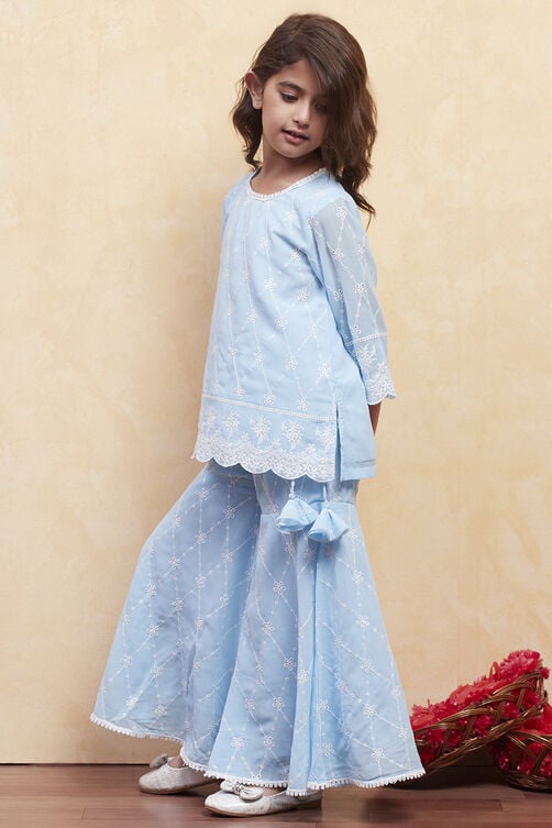 Powder Blue Polyester Sharara Suit Set image number 3