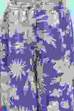 Blue Cotton Printed Gathered Suit Set image number 2