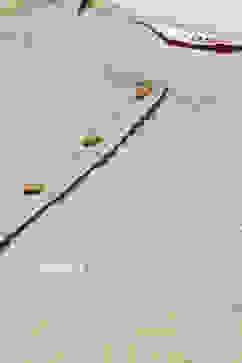 Beige LIVA Straight Printed Kurti image number 1