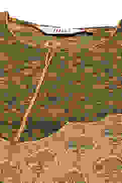 Khaki Cotton Straight Kurta Narrow Palazzo Suit Set image number 1