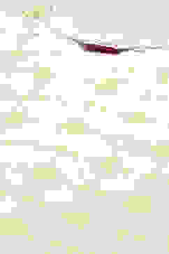 Off White Rayon Straight Kurta Pant 2 Piece Set image number 1