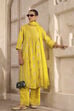 Lime Yellow Chanderi Straight Dyed Suit Set image number 0