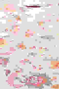 Off-White Cotton Floral Straight Kurta image number 1