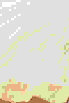 Rohit Bal Peach Cotton Silk Straight Printed Suit Set image number 3