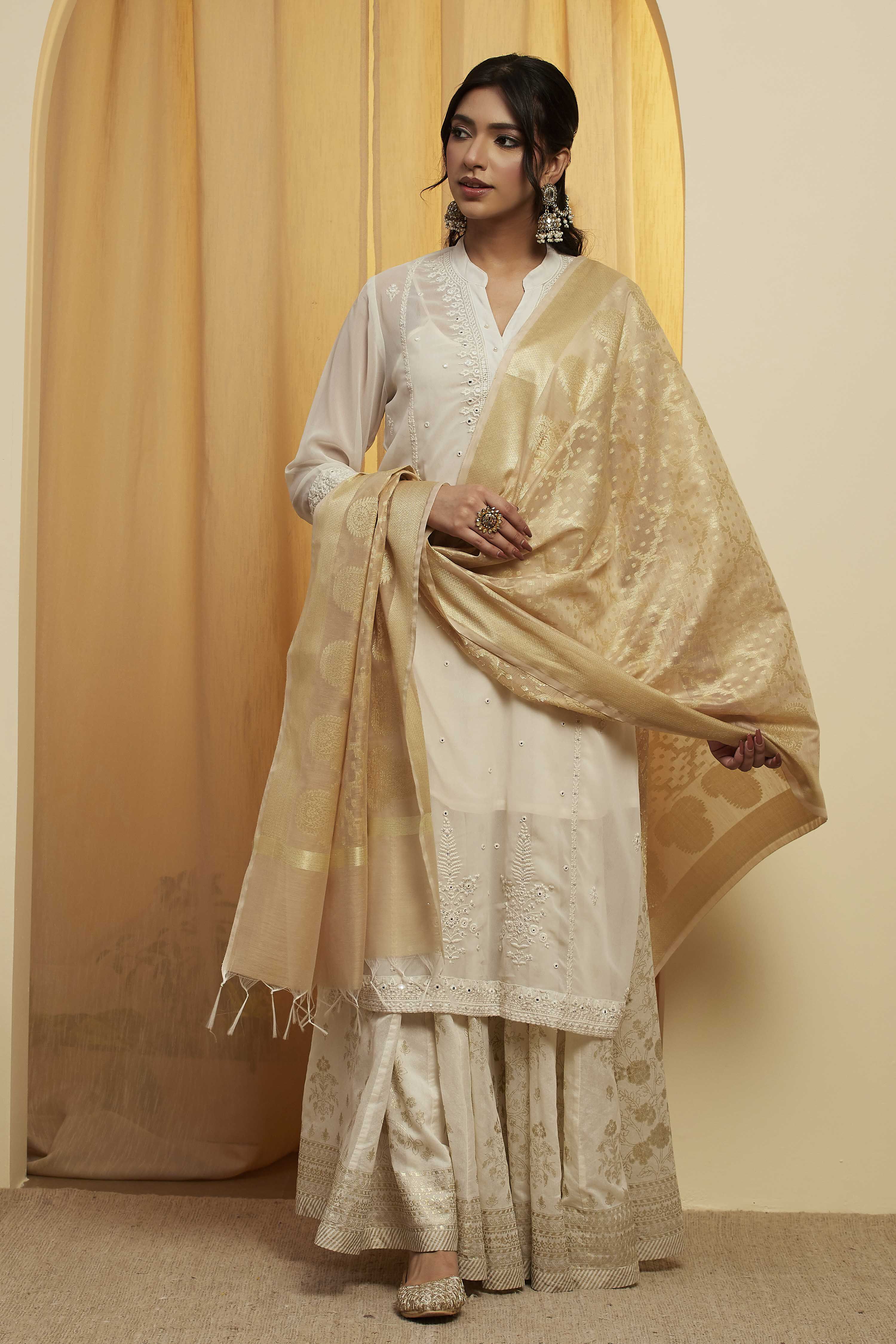 Beige Tasseled Woven Design Dupatta image number 4