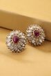 Red Brass Studs image number 0
