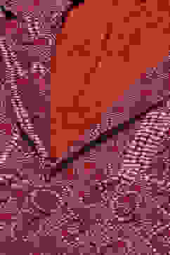 Maroon Poly Spandex Printed Jacket image number 1