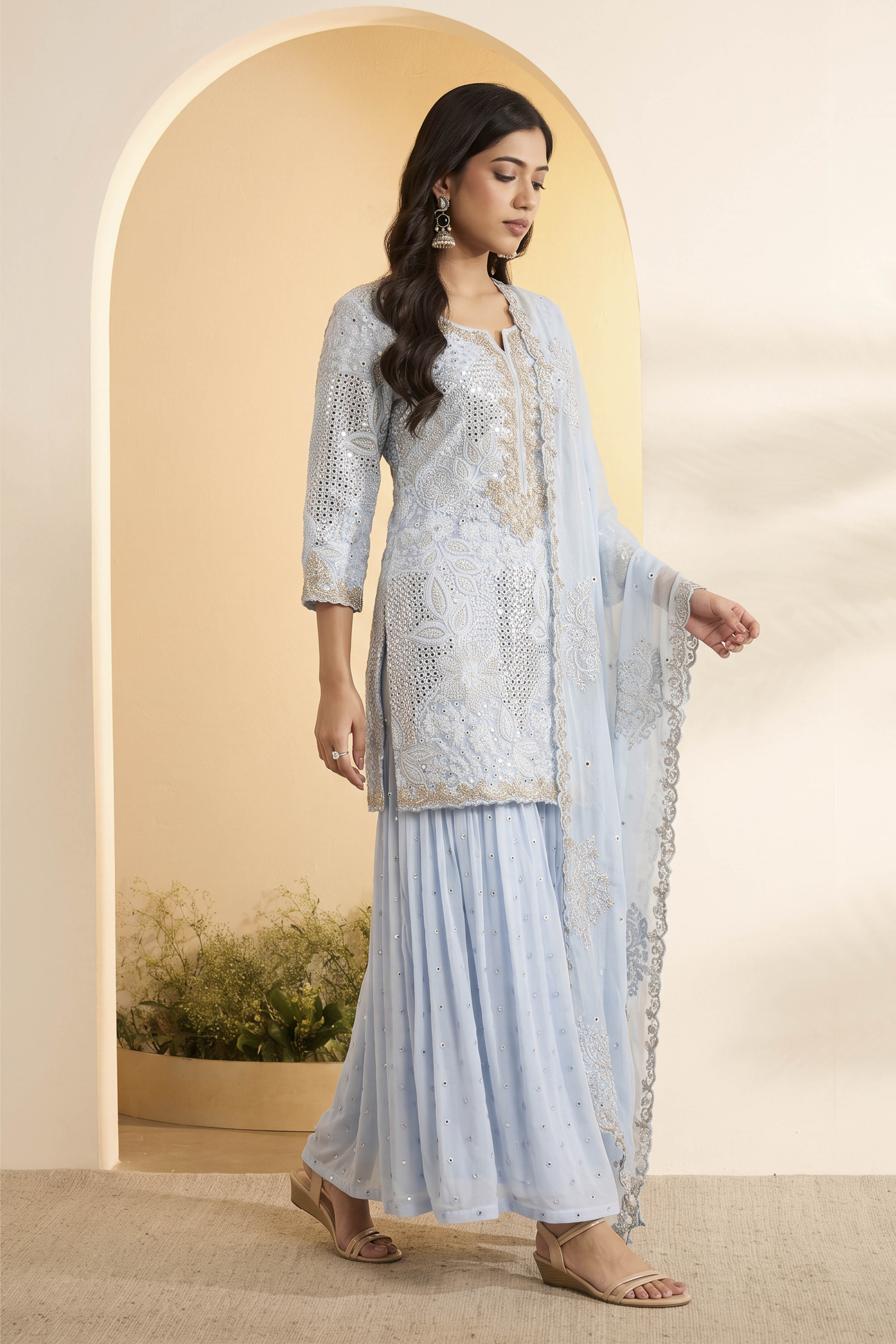 Powder Blue Butterfly Net Embroidered Sharara Suit Set image number 3